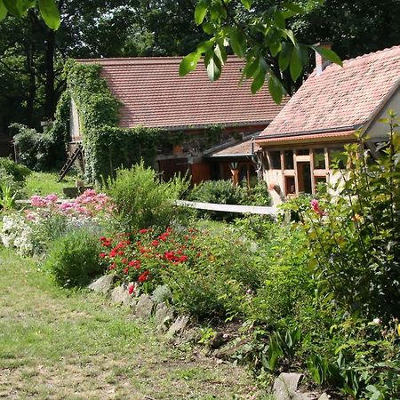 Poncet'Sches Herrenhaus Drezda Kültér fotó