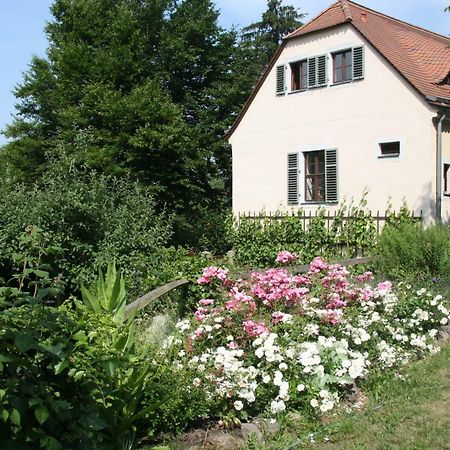 Poncet'Sches Herrenhaus Drezda Kültér fotó