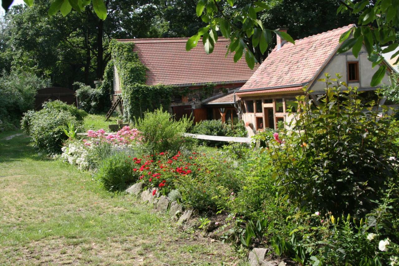 Poncet'Sches Herrenhaus Drezda Kültér fotó