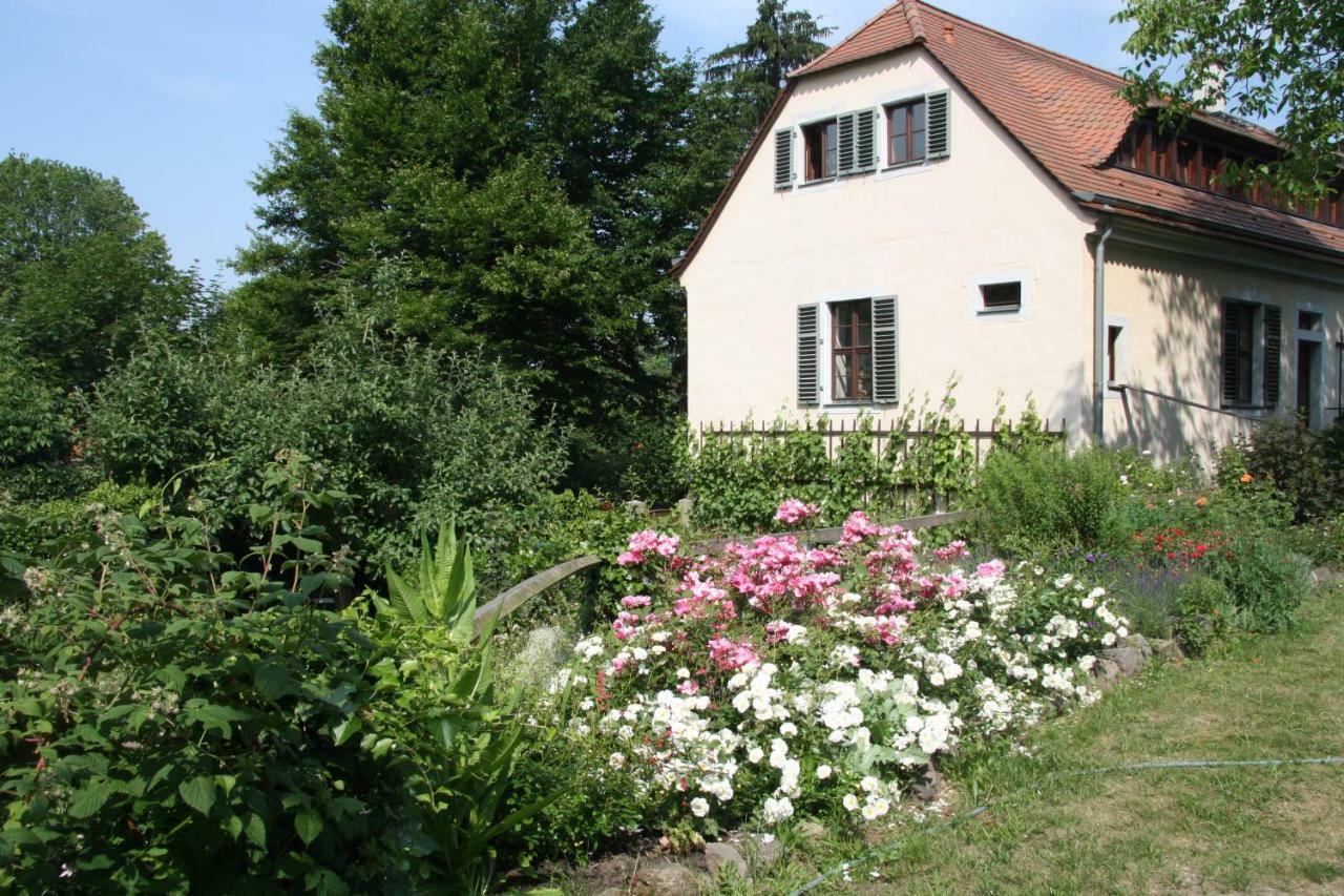 Poncet'Sches Herrenhaus Drezda Kültér fotó